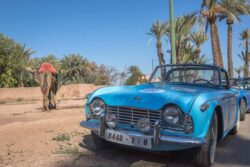 Circuit & Excursion Lead Events