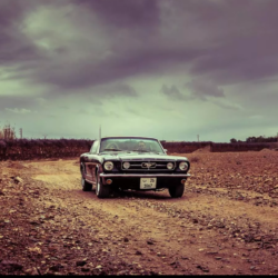 Circuit & Excursion Lead Events