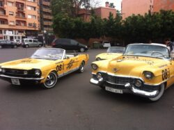 Nos voitures aux couleurs du “CARRE EDEN SHOPPING CENTER”